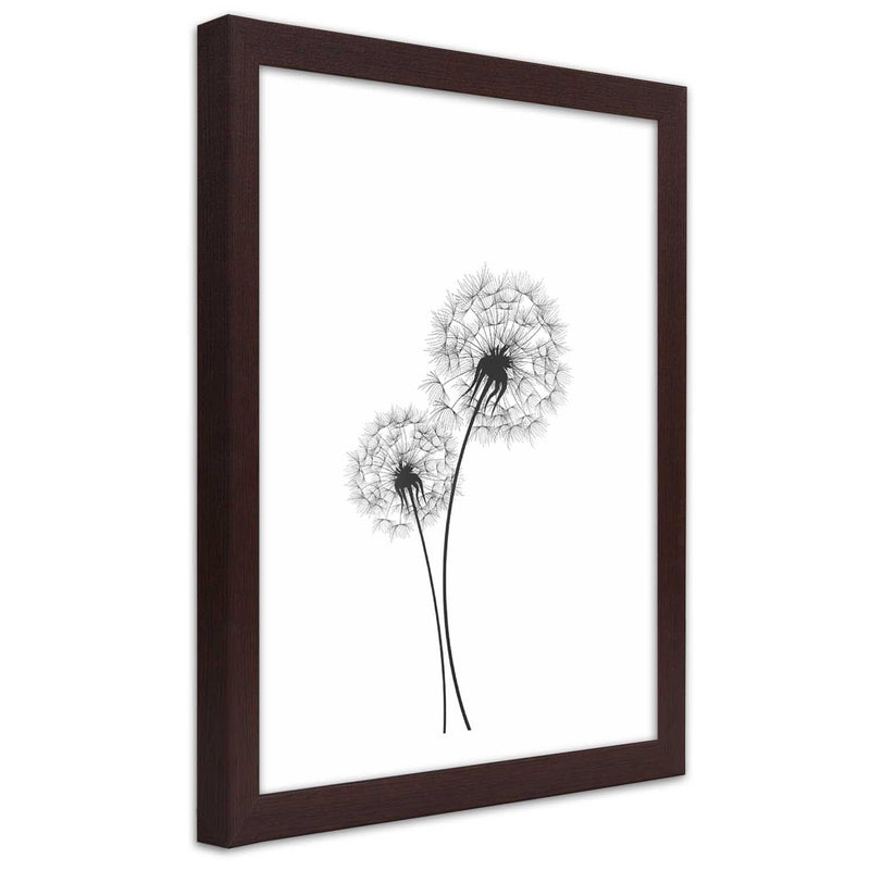 Picture in brown frame, Drawn two dandelions