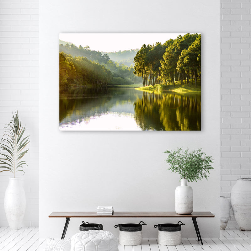 Deco panel print, Forest landscape of trees nature