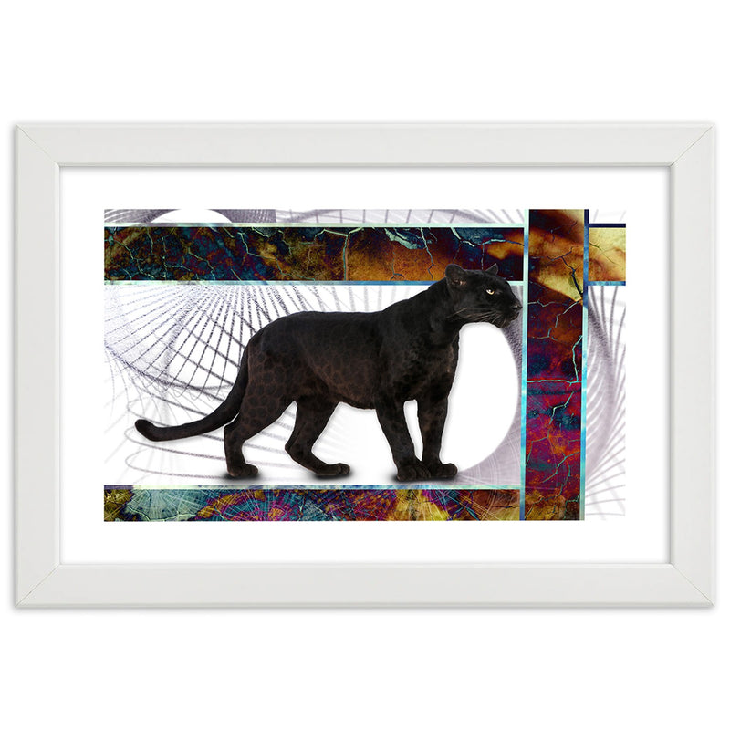 Picture in white frame, Attentive panther