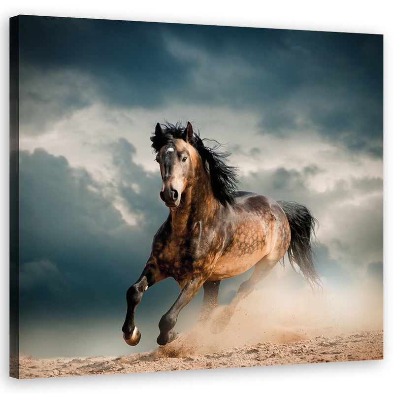 Canvas print, Gallop of the horse