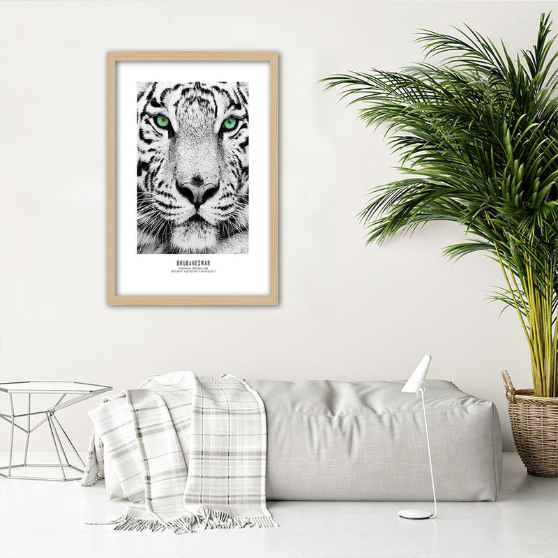 Cuadro en marco natural, Tigre blanco