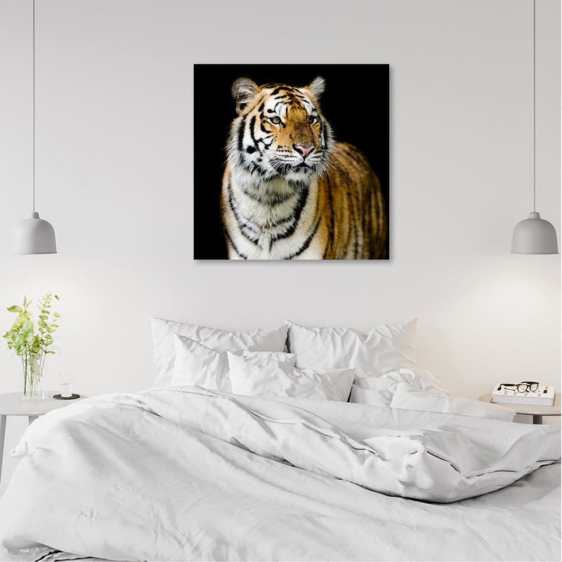 Canvas print, Majestic tiger