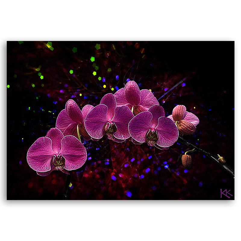 Deco panel print, Orchid on dark background