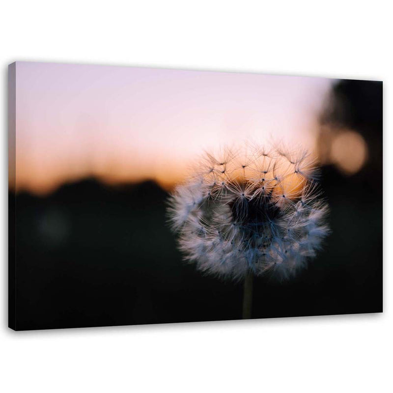 Canvas print, Blower and sunset
