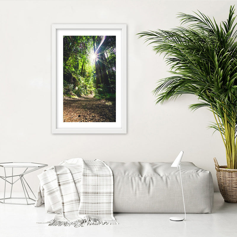 Picture in white frame, Path in a dense forest