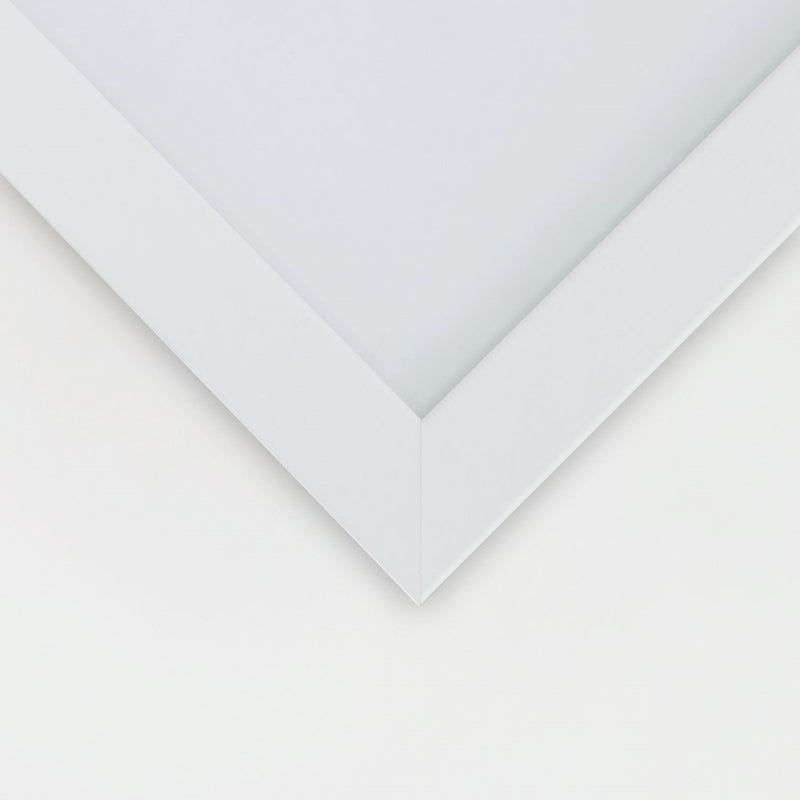 Imagen en marco blanco, capullo de loto blanco