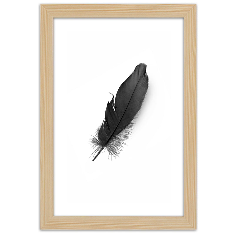 Picture in natural frame, Black feather