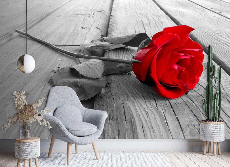 Wallpaper, Red Rose Flowers Retro