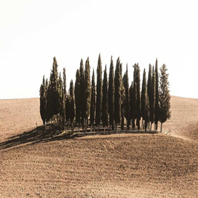 Separador de ambientes Doble cara, Toscana