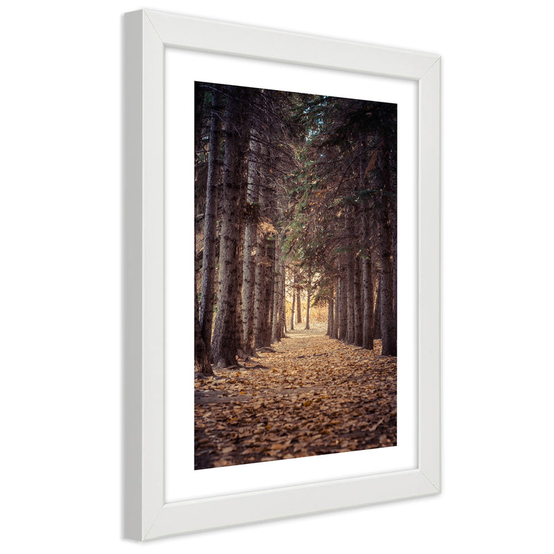 Picture in white frame, Forest in autumn