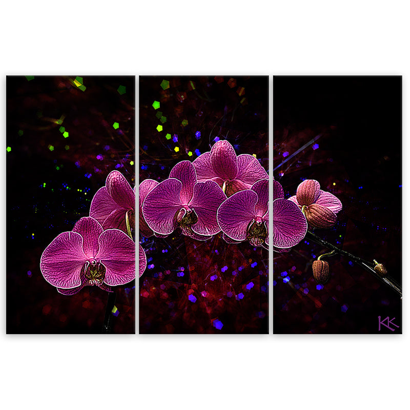 Three piece picture deco panel, Orchid on dark background
