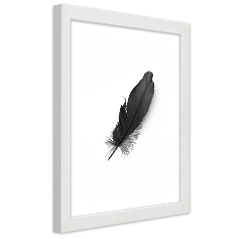 Picture in white frame, Black feather