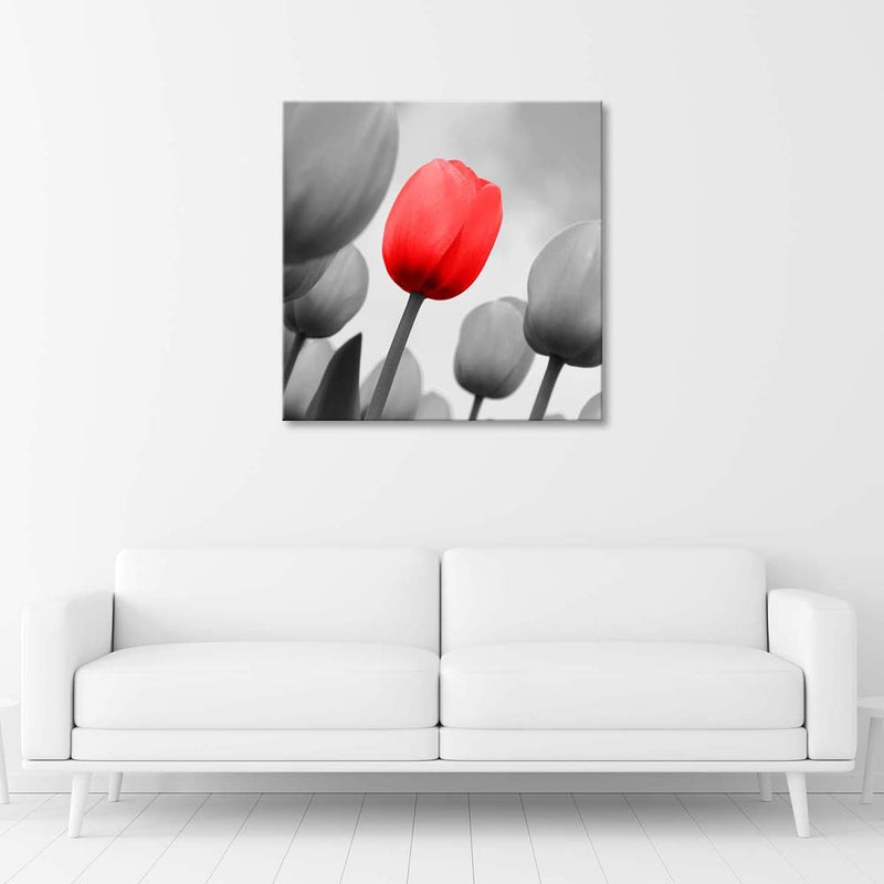 Canvas print, Red tulip in grey