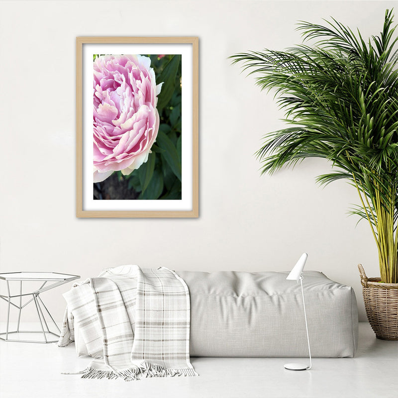 Picture in natural frame, Pretty pink peony