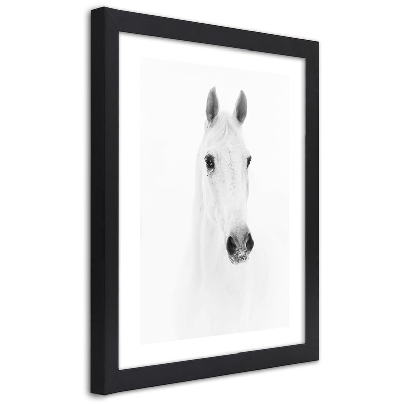 Picture in black frame, Grey horse