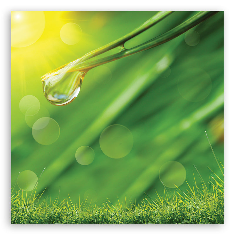Canvas print, Dew on the grass