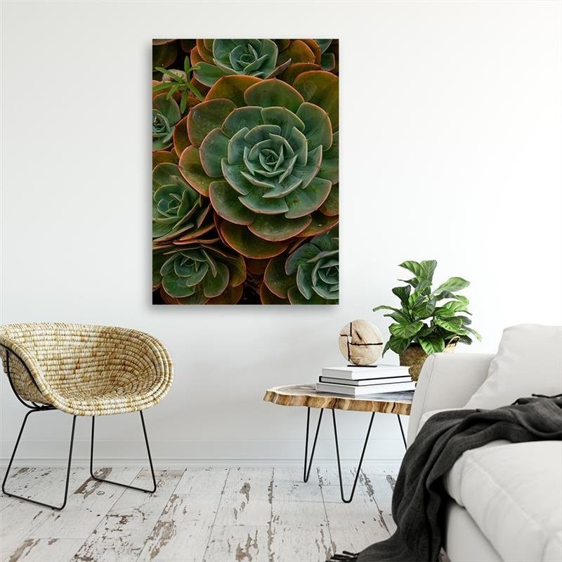 Deco panel print, Green succulent flower