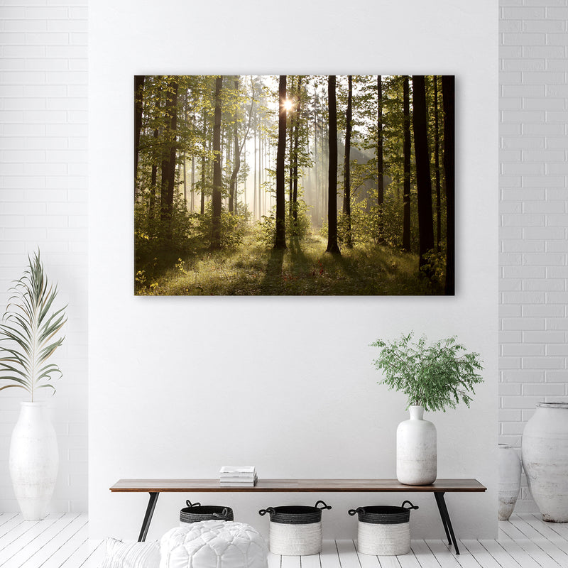 Deco panel print, Morning in the forest