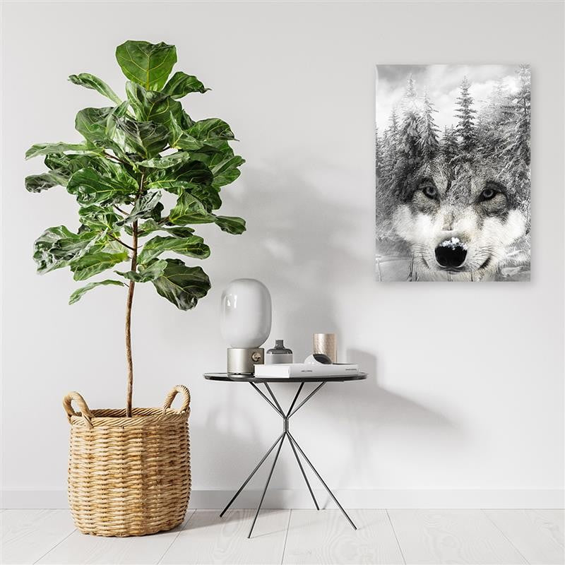 Canvas print, Wolf in winter scenery