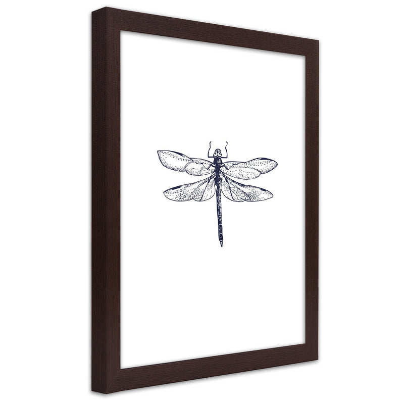 Picture in brown frame, Dragonfly drawn