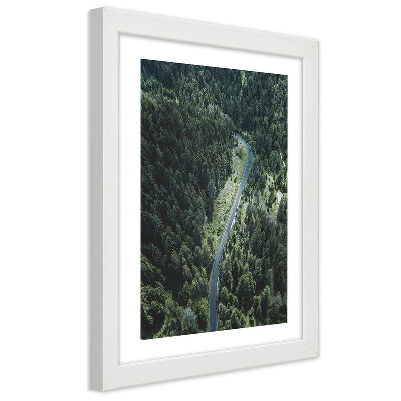 Picture in white frame, Road in the forest