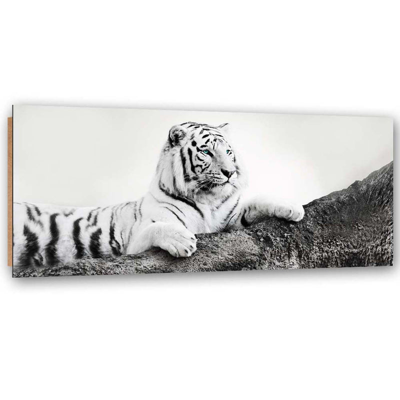 Deco panel print, Tiger watching