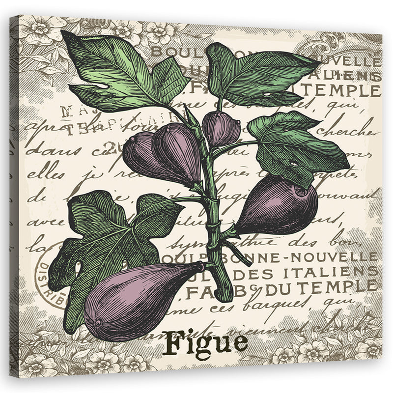 Canvas print, Figs vintage