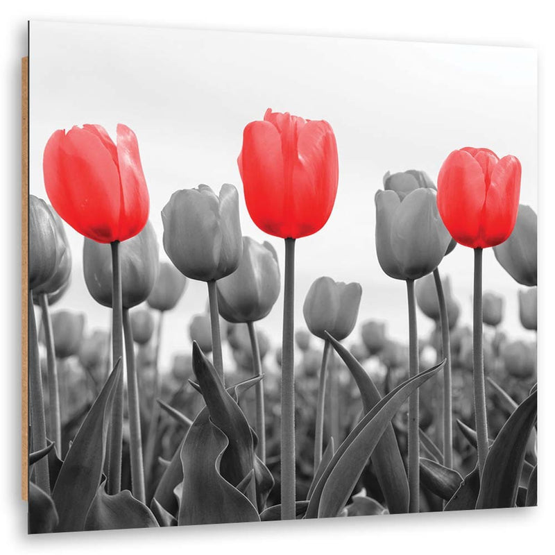 Deco panel print, Red tulips in a meadow