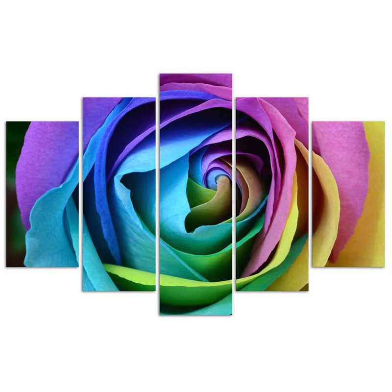 Cuadro en lienzo de cinco piezas, Rosa de colores