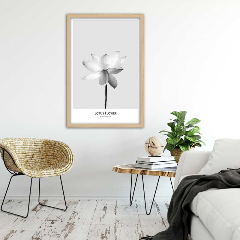 Picture in natural frame, White lotus flower
