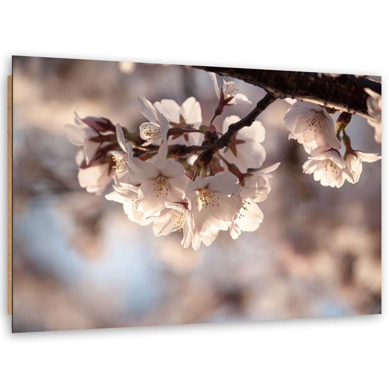Deco panel print, Cherry blossom