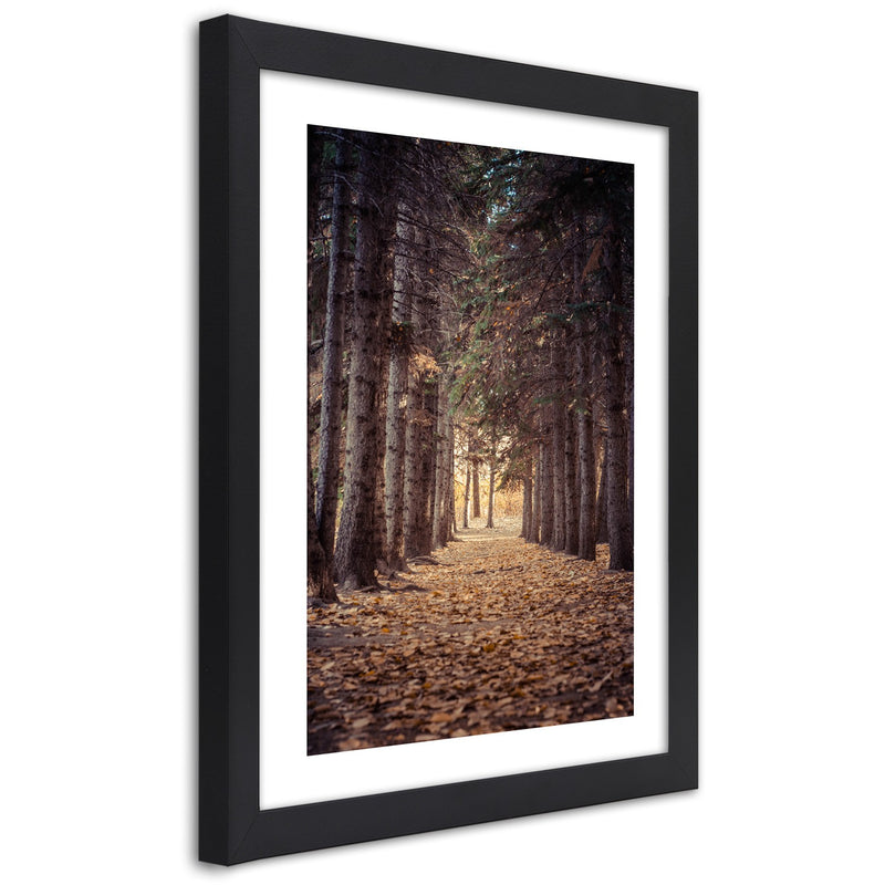 Picture in black frame, Forest in autumn