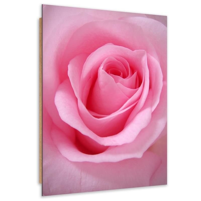 Deco panel print, Pink rose petals