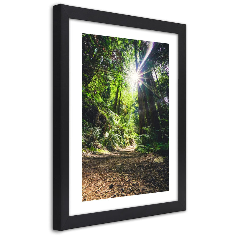 Picture in black frame, Path in a dense forest