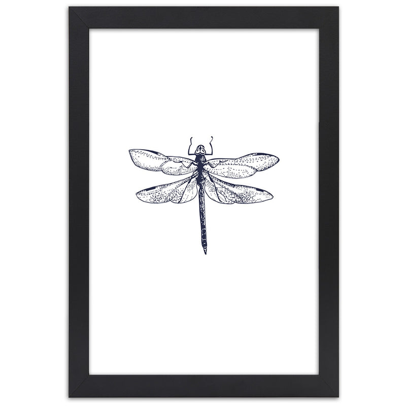Picture in black frame, Dragonfly drawn