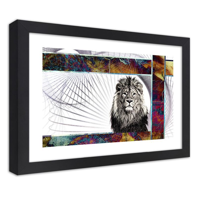 Picture in black frame, Majestic lion