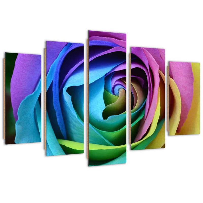 Five piece picture deco panel, Coloured rose 5 assorted