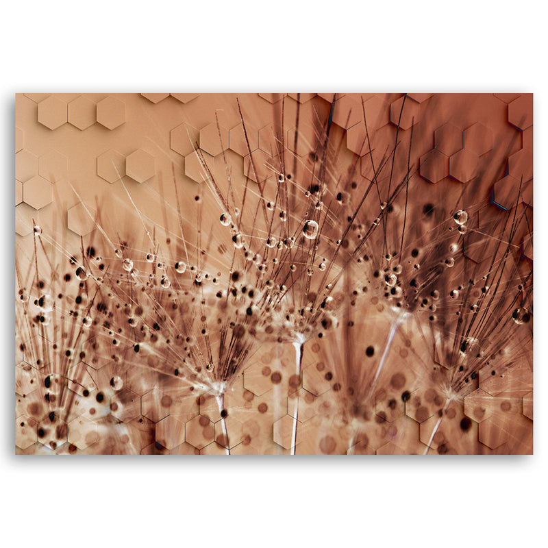Deco panel print, Dandelion in dewdrops
