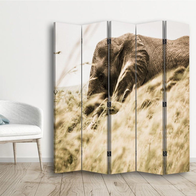 Room divider Double-sided, Elephant wandering