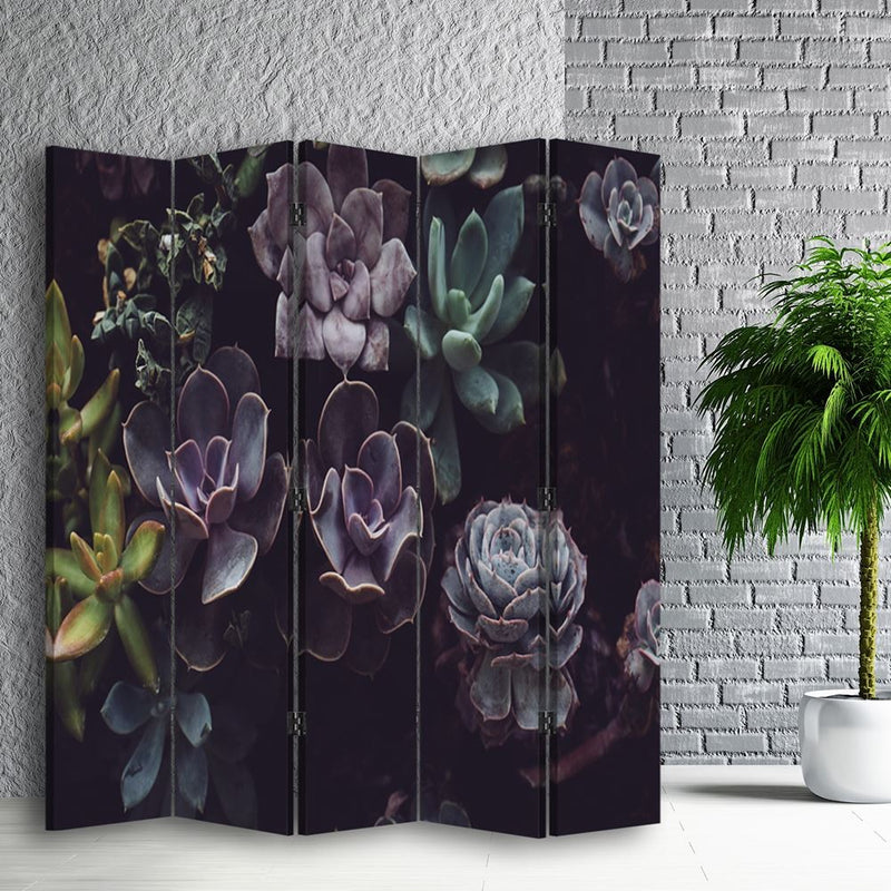 Room divider Double-sided, Succulents in muted shades