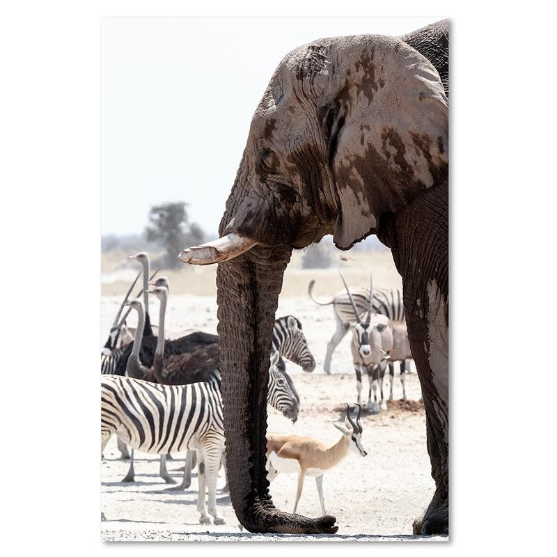 Canvas print, Animals on the savannah - elephant zebras ostriches antelopes