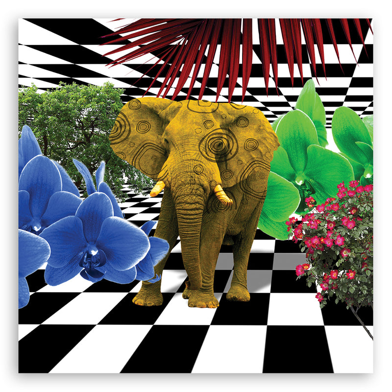 Panel decorativo estampado, Elefante de colores