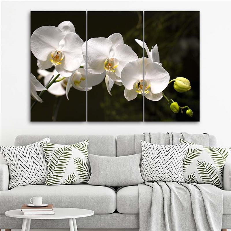 Cuadro de tres piezas en lienzo, Orquídea blanca