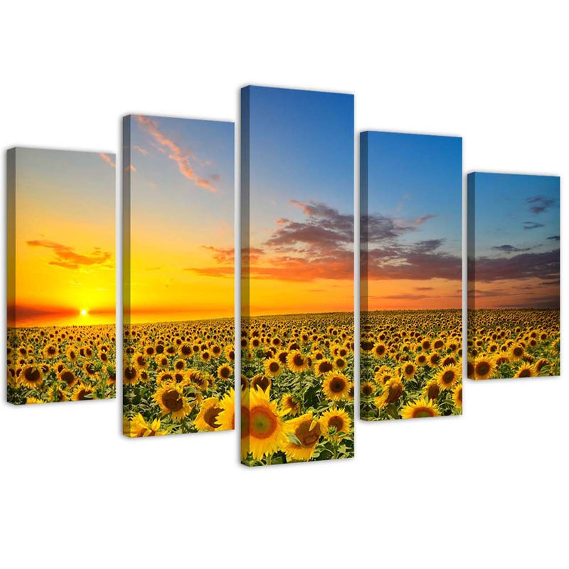 Five piece picture canvas print, Sunflowers on a meadow