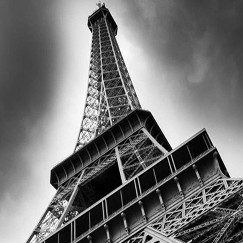 Separador de ambientes Doble cara, La Torre Eiffel desde la perspectiva de la rana