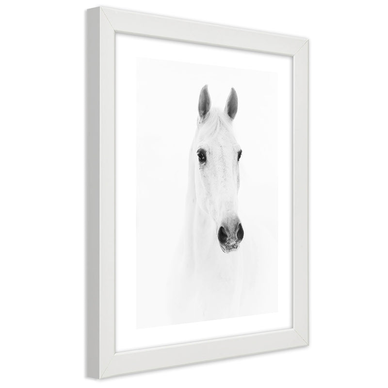Picture in white frame, Grey horse