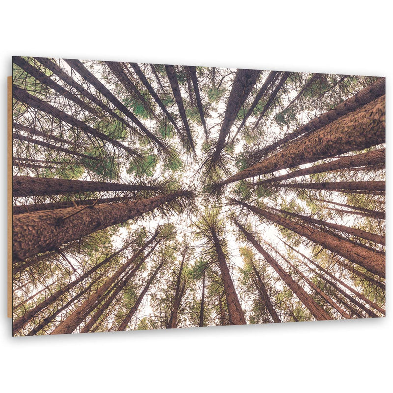 Deco panel print, Tall pines