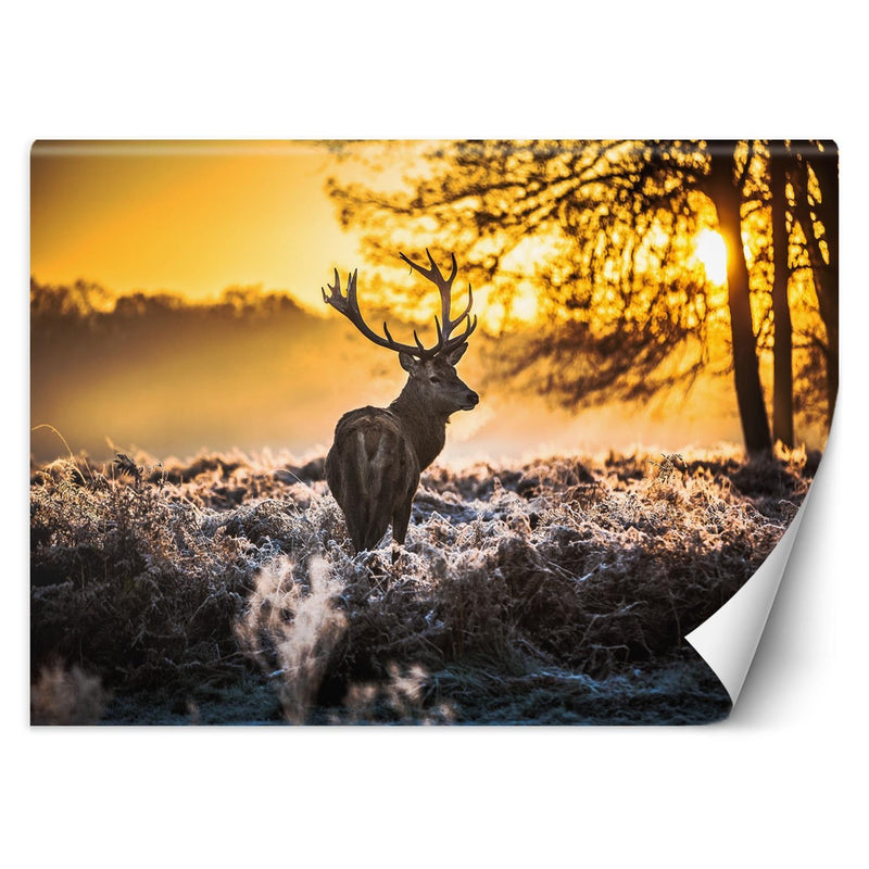 Wallpaper, Deer in the mist