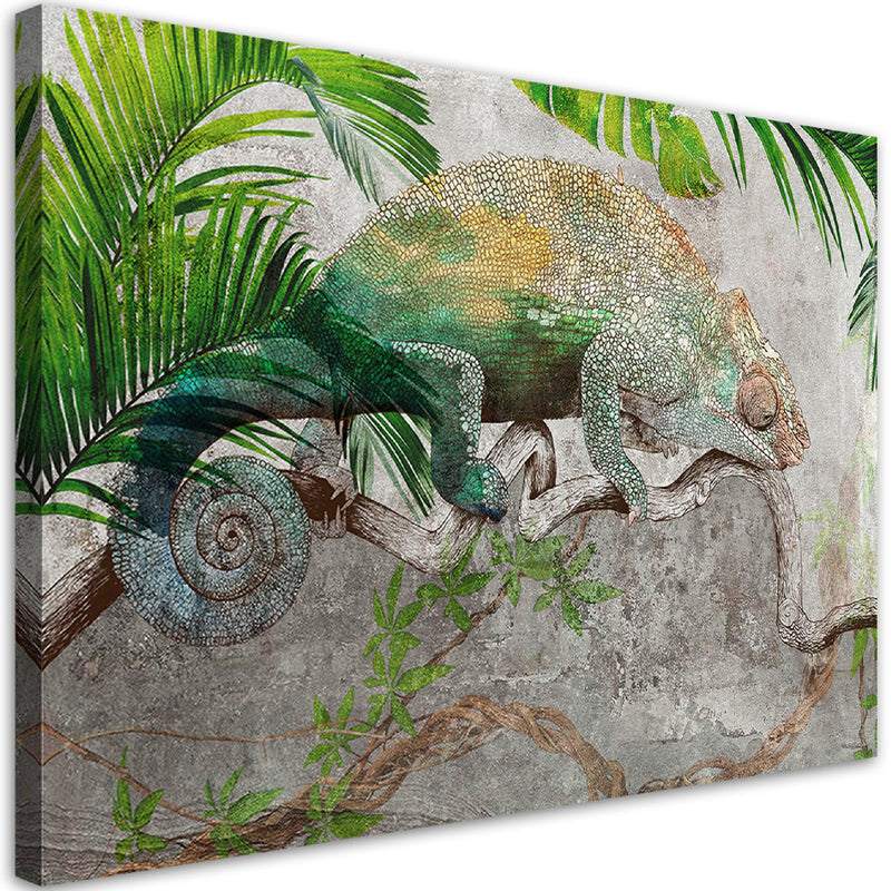 Canvas print, Chameleon on branch jungle