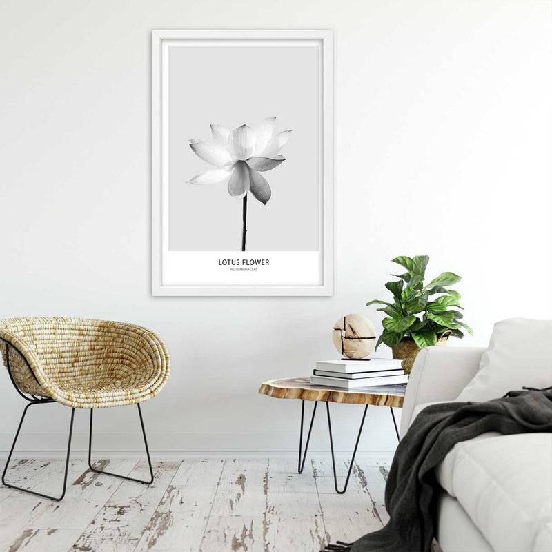 Cuadro en marco blanco, Flor de loto blanca.